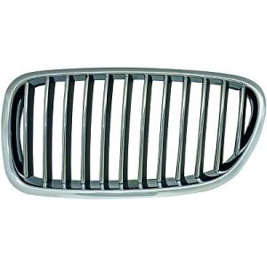 Grelha de radiador Esquerdo para BMW 5-Série (F10/11) 10-13