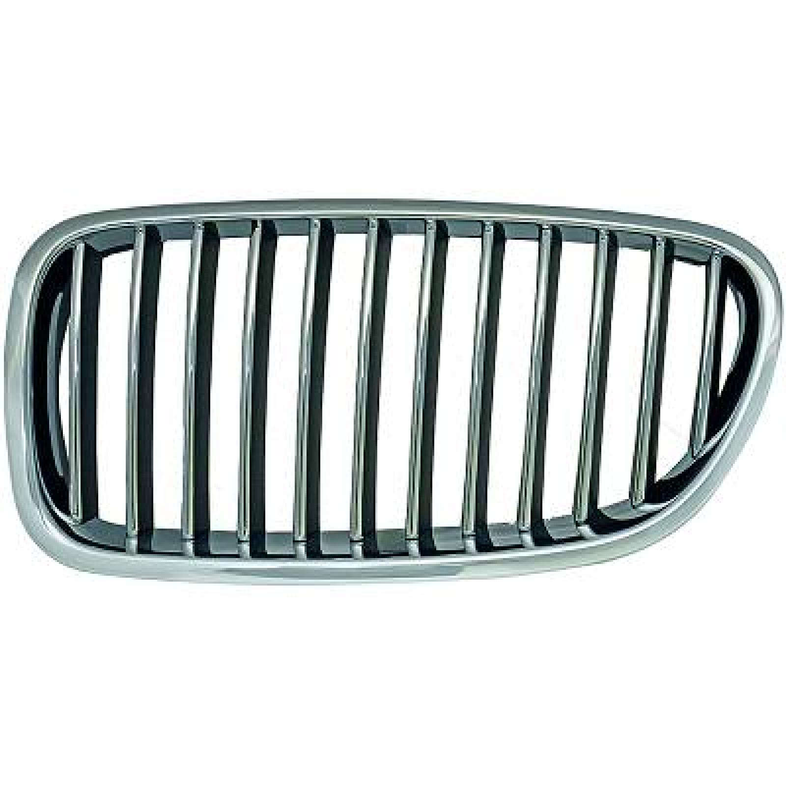 Grelha de radiador Esquerdo para BMW 5-Série (F10/11) 10-13