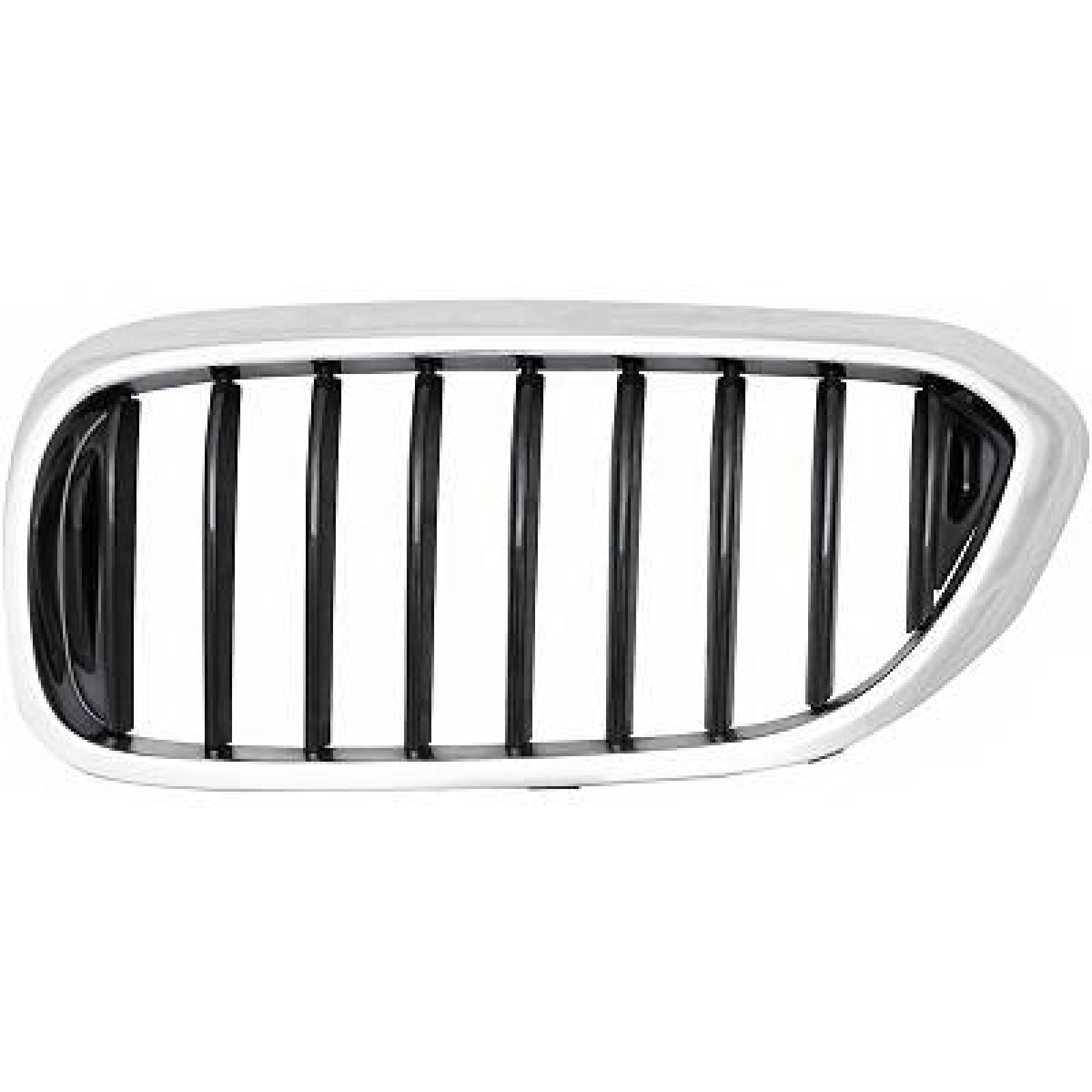Grelha de radiador Esquerdo para BMW 5-Série (G30/31) 17->>