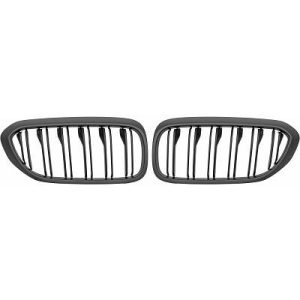 Grelha de radiador para BMW 5-Série (G30/31) 17-20
