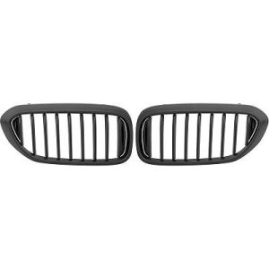 Grelha de radiador para BMW 5-Série (G30/31) 17-20