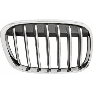 Grelha de radiador Direito para BMW X1 (F48) 15-19