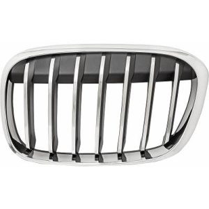 Grelha de radiador Esquerdo para BMW X1 (F48) 15-19