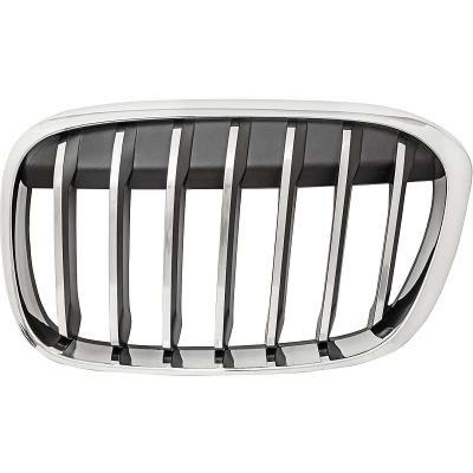 Grelha de radiador Esquerdo para BMW X1 (F48) 15-19