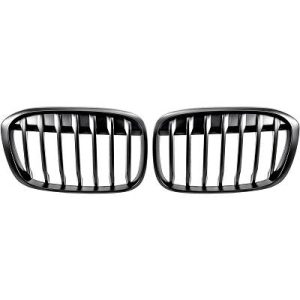 Grelha de radiador para BMW X1 (F48) 15-19