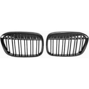 Grelha de radiador para BMW X1 (F48) 15-19
