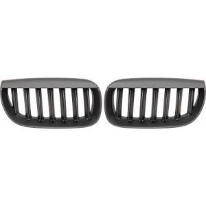 Grelha de radiador para BMW X3 (E83) 03-06