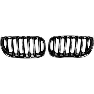 Grelha de radiador para BMW X3 (E83) 03-06
