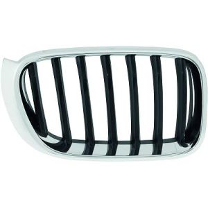 Grelha de radiador Esquerdo para BMW X3 (F25) 14-17