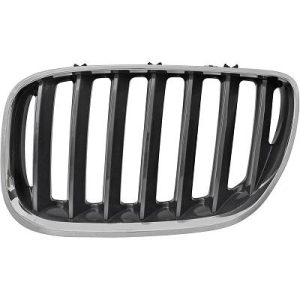 Grelha de radiador Esquerdo para BMW X5 (E53) 03-07