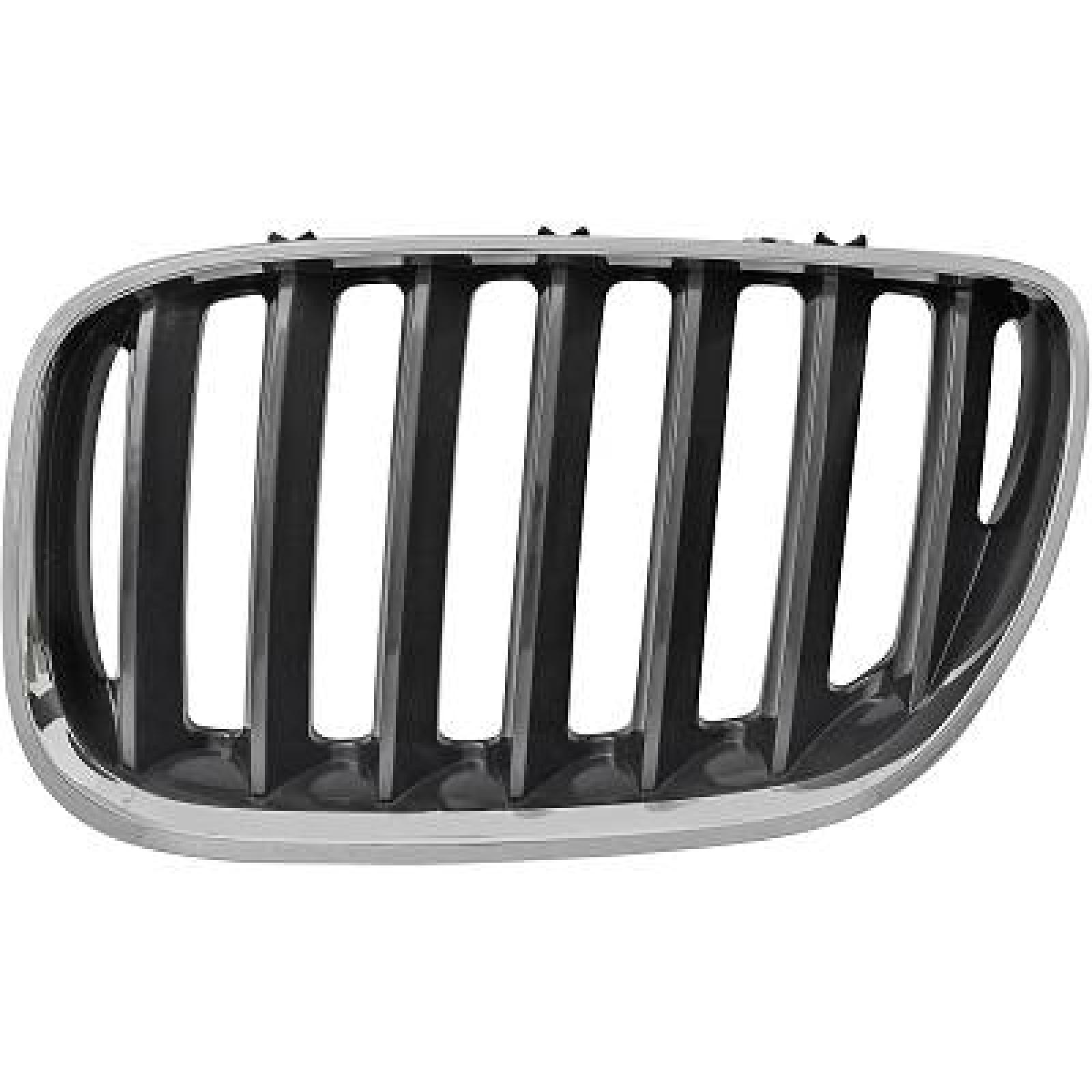Grelha de radiador Esquerdo para BMW X5 (E53) 03-07
