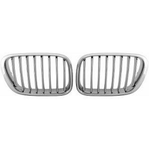 Grelha de radiador para BMW X5 (E53) 99-03