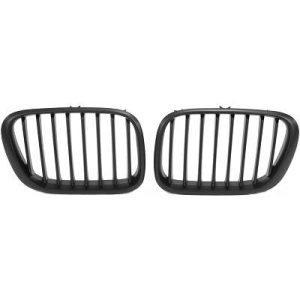 Grelha de radiador para BMW X5 (E53) 99-03