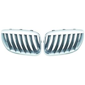Grelha de radiador para BMW X5 (E53) 03-07
