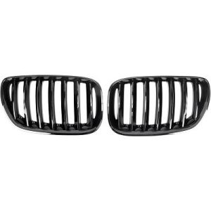 Grelha de radiador para BMW X5 (E53) 03-07