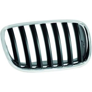 Grelha de radiador Direito para BMW X5 (E70) 07-10