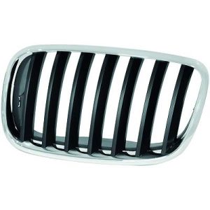 Grelha de radiador Esquerdo para BMW X5 (E70) 07-10