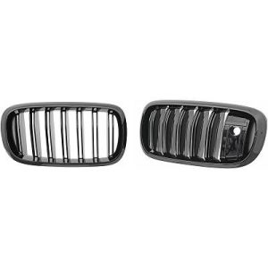 Elemento da grelha do radiador para BMW X6 (F16) 14-19