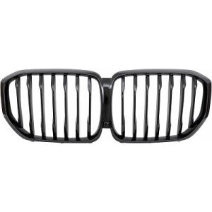 Grelha de radiador para BMW X5 (G05/F95) 18->>