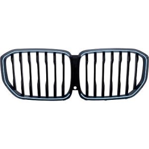 Grelha de radiador para BMW X5 (G05/F95) 18->>