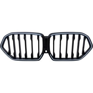 Grelha de radiador para BMW X6 (G06) 19->>