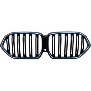 Grelha de radiador para BMW X6 (G06) 19->>