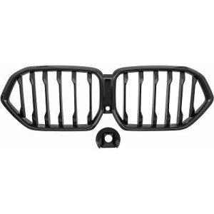 Grelha de radiador para BMW X6 (G06) 19->>