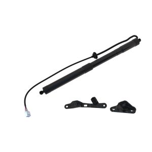 Mola pneumática, mala/compartimento de carga Traseiro Direito para Toyota RAV 4 13-15
