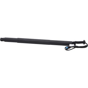 Mola pneumática, mala/compartimento de carga Traseiro Esquerdo para BMW X6 (F16) 14->>