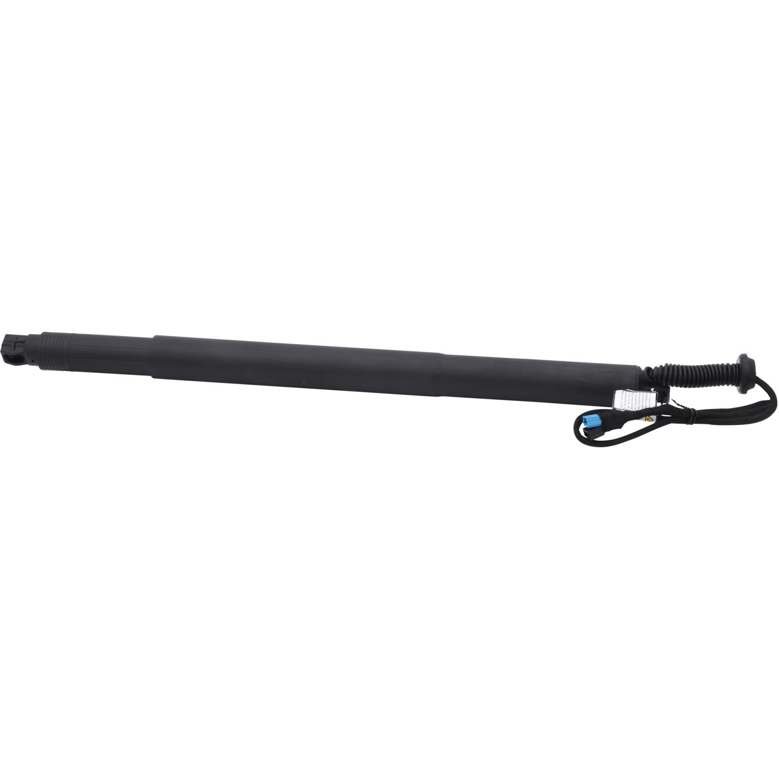 Mola pneumática, mala/compartimento de carga Traseiro Esquerdo para BMW X6 (F16) 14->>