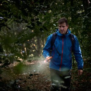 Lanterna LED Telescópica Recarregável OSRAM 270 lm - Image 15